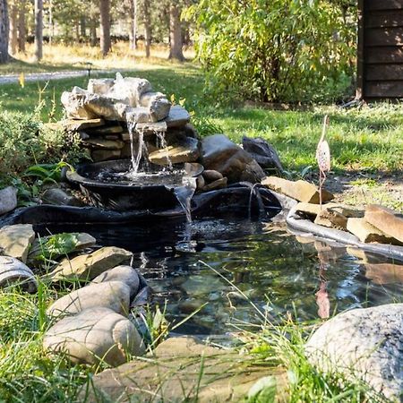 Rustic Cozy Cabin With Hot Tub Bragg Creek エクステリア 写真