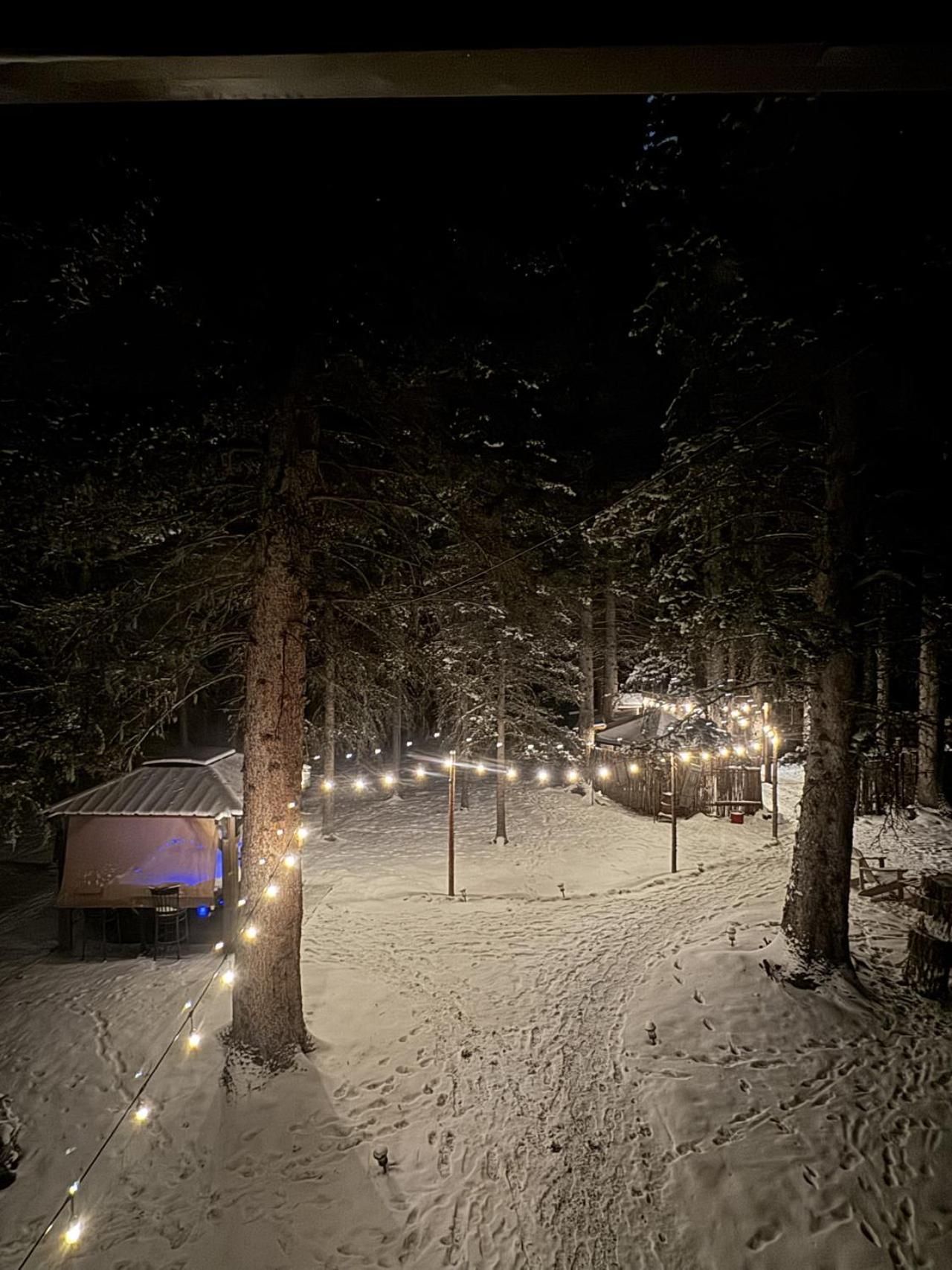 Rustic Cozy Cabin With Hot Tub Bragg Creek エクステリア 写真