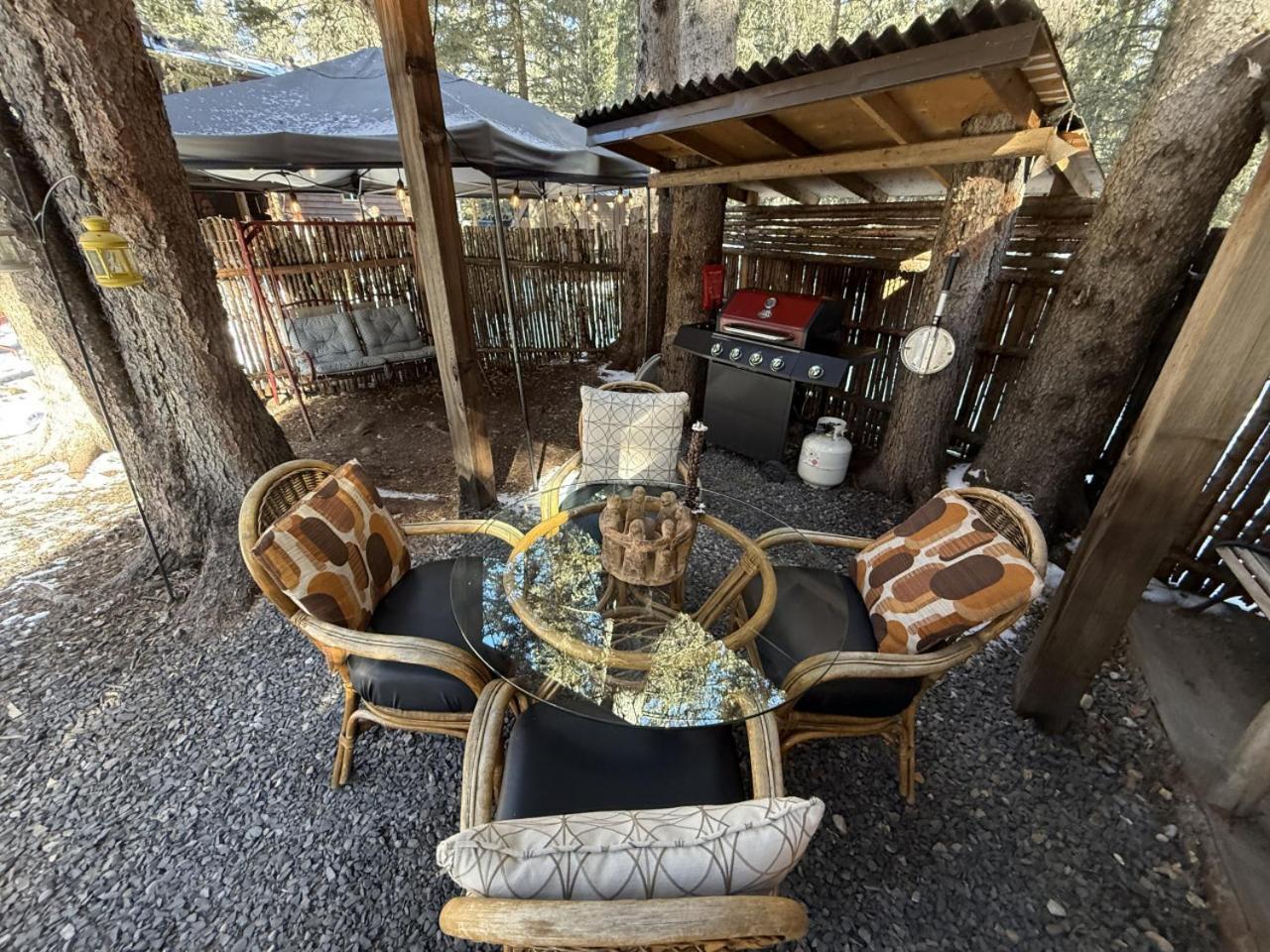 Rustic Cozy Cabin With Hot Tub Bragg Creek エクステリア 写真