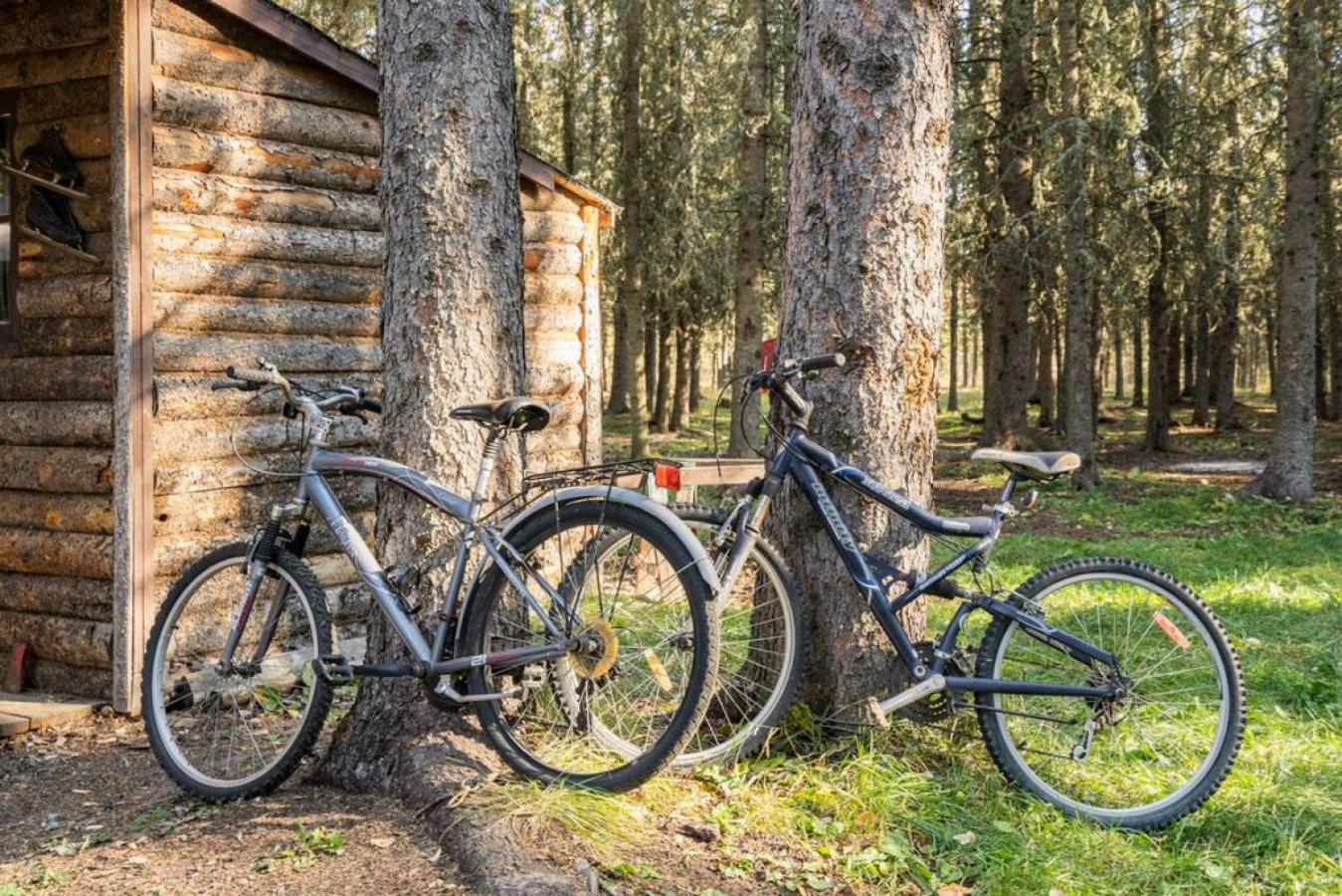 Rustic Cozy Cabin With Hot Tub Bragg Creek エクステリア 写真
